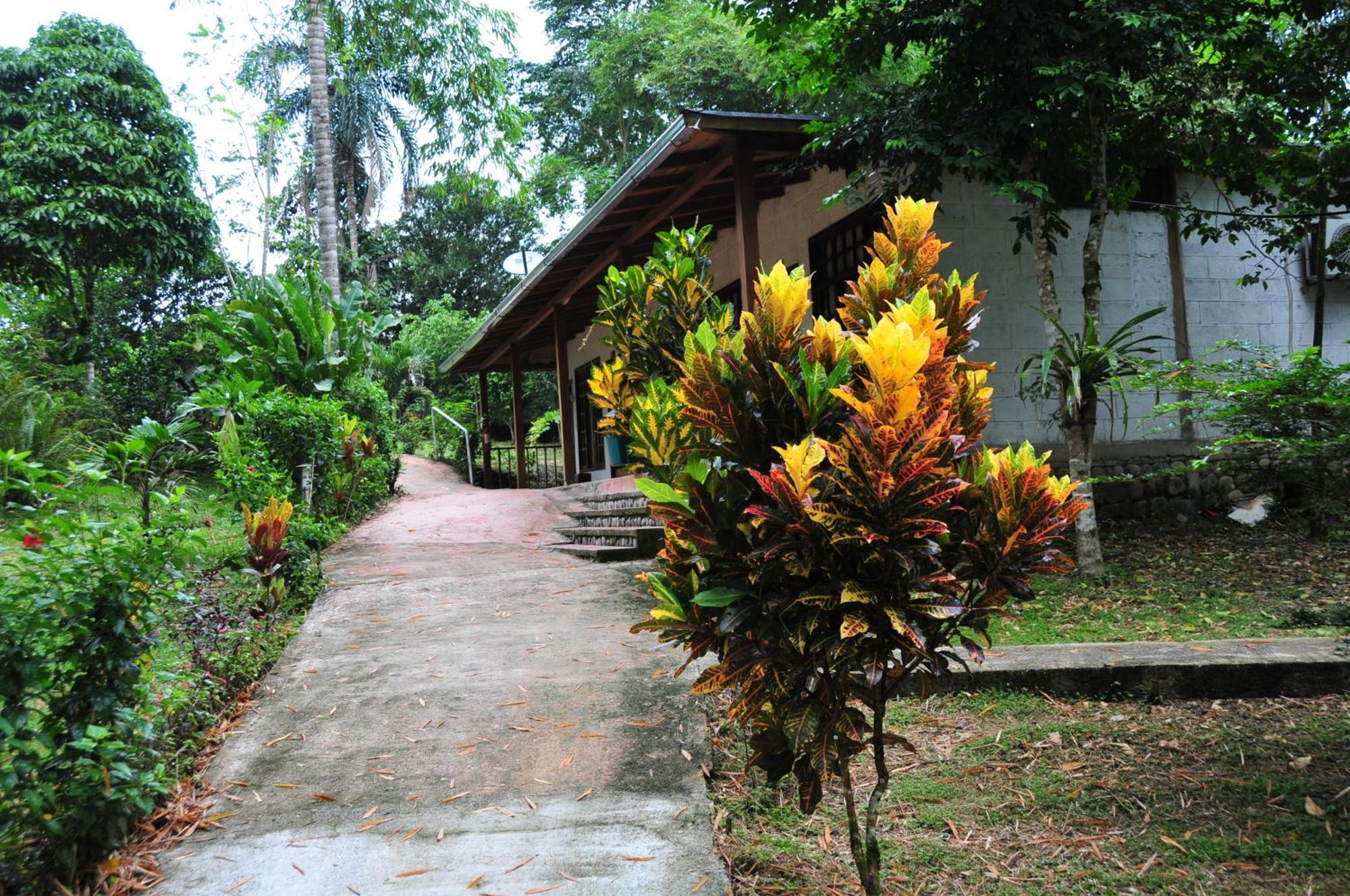 Terra Luna Lodge Tena Exteriér fotografie